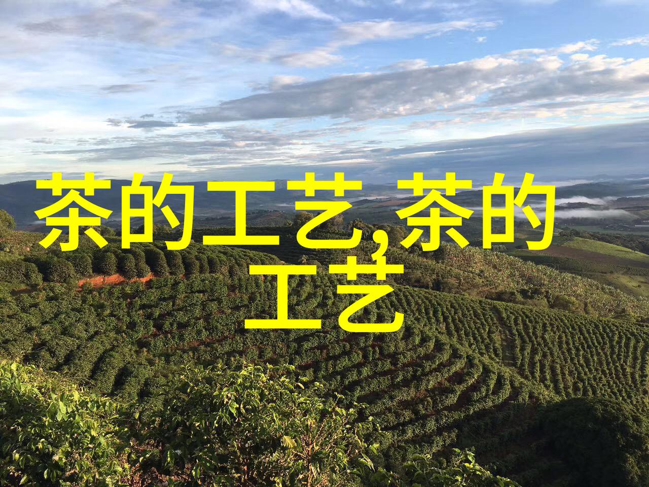 定制个性茶具价格大揭秘